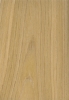 KAŠTAN 867 DC